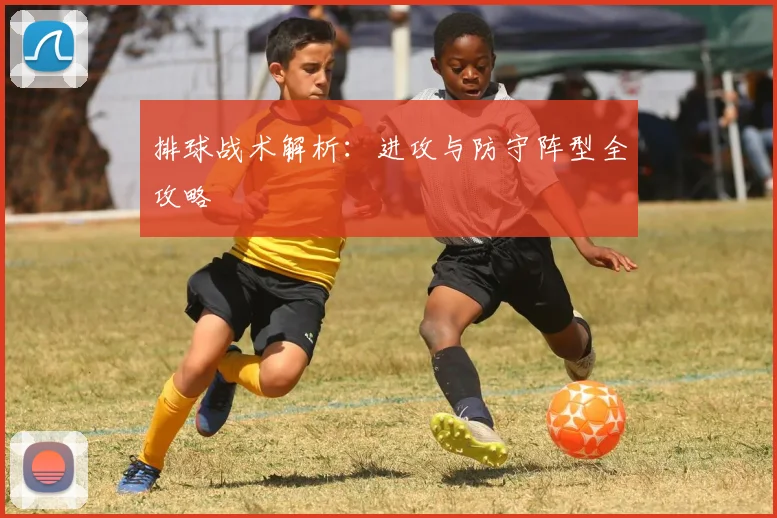 排球战术解析：进攻与防守阵型全攻略